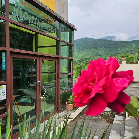 Family Hotel Komhotel Berkovitsa Bagian luar foto