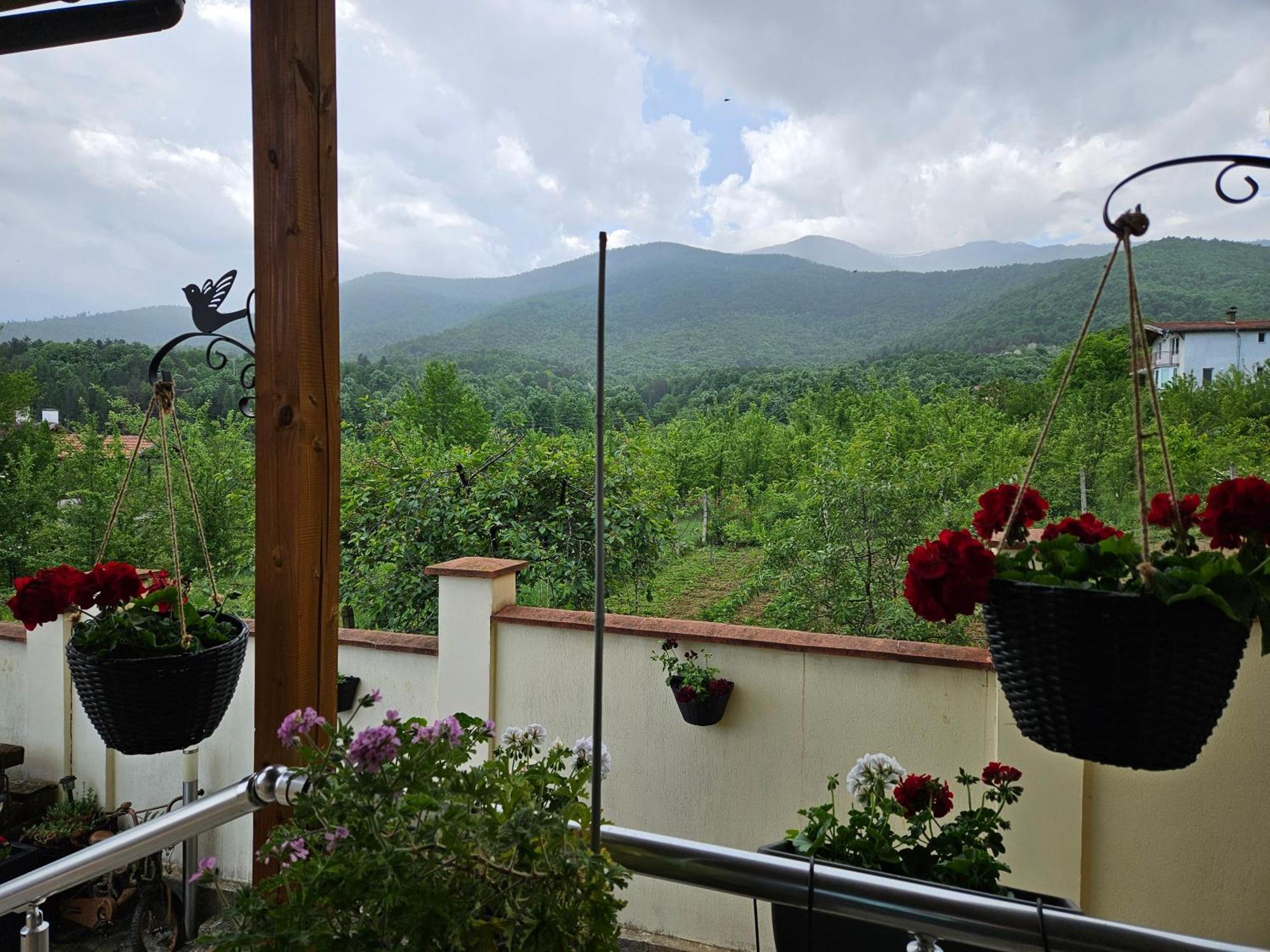 Family Hotel Komhotel Berkovitsa Bagian luar foto
