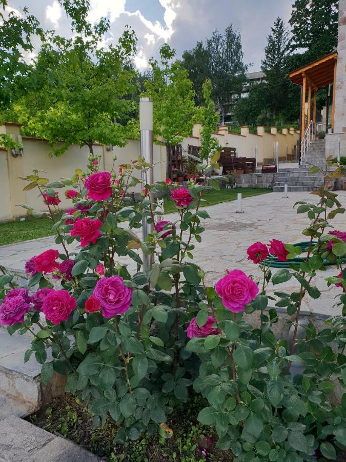 Family Hotel Komhotel Berkovitsa Bagian luar foto